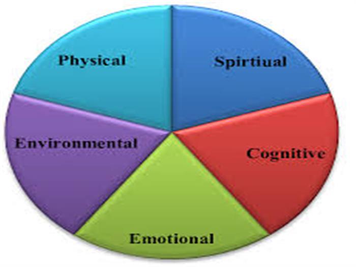 Teacher's Wellness & Resillence Program at APSM on 17th & 18th April 2026